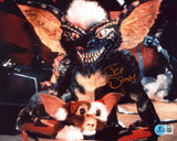 Joe Dante Gremlins Authentic Signed 8x10 Horizontal Photo Autographed BAS 3