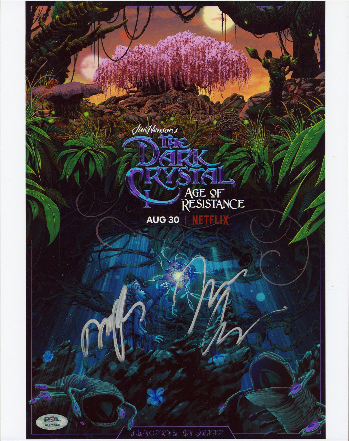 Jeffrey Addiss & Will Matthews The Dark Crystal Signed 11x14 Photo PSA #AQ71564