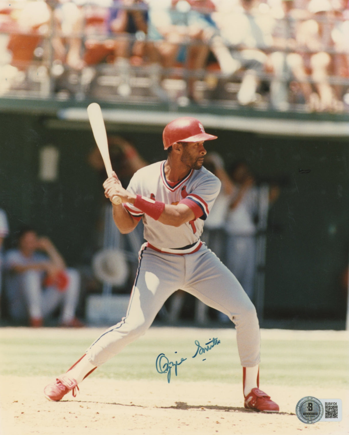 Cardinals Ozzie Smith Authentic Signed 8x10 Vertical Photo BAS #BU64104