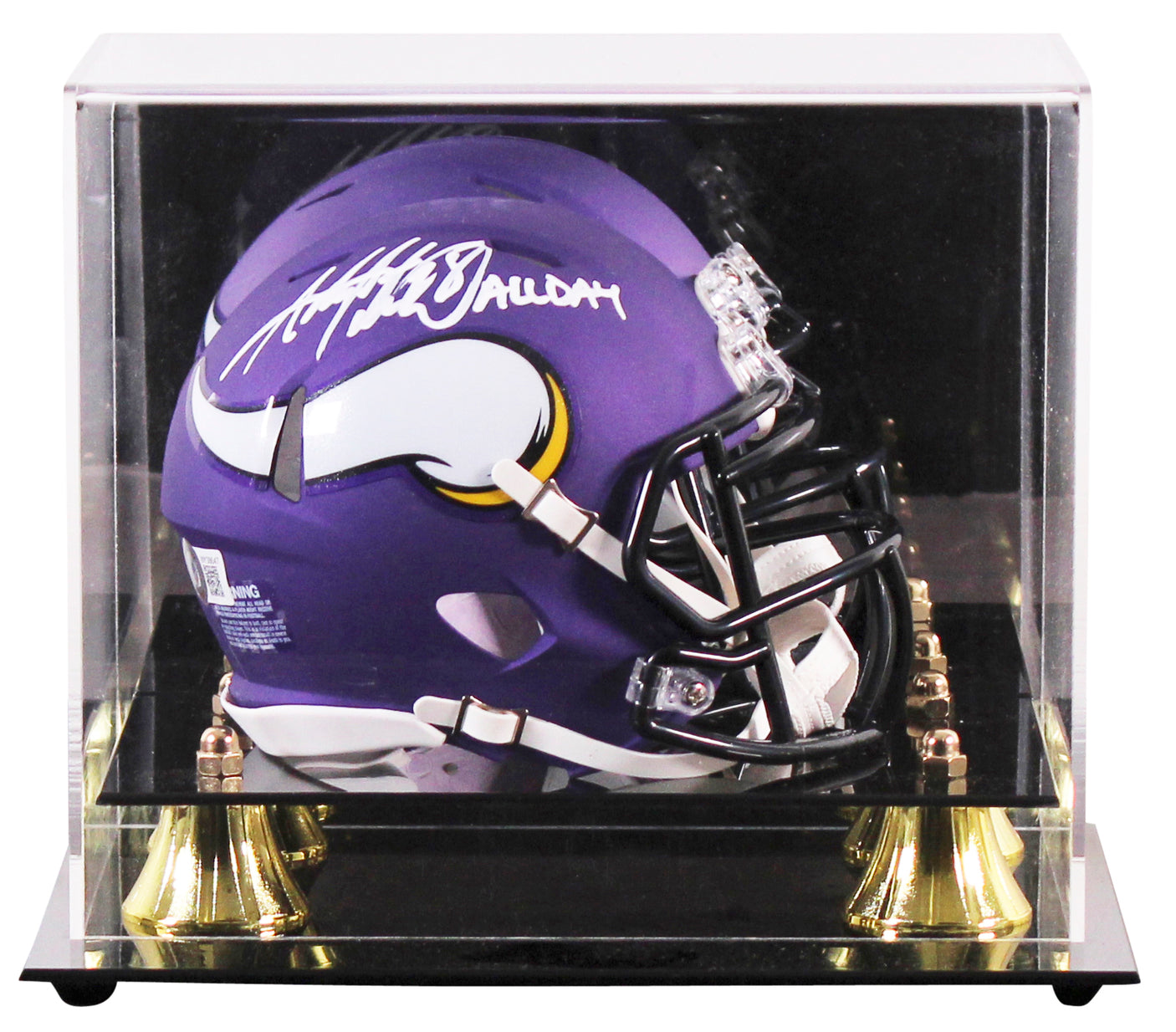 Vikings Adrian Peterson "All Day" Signed Speed Mini Helmet w/ Case BAS Witnessed