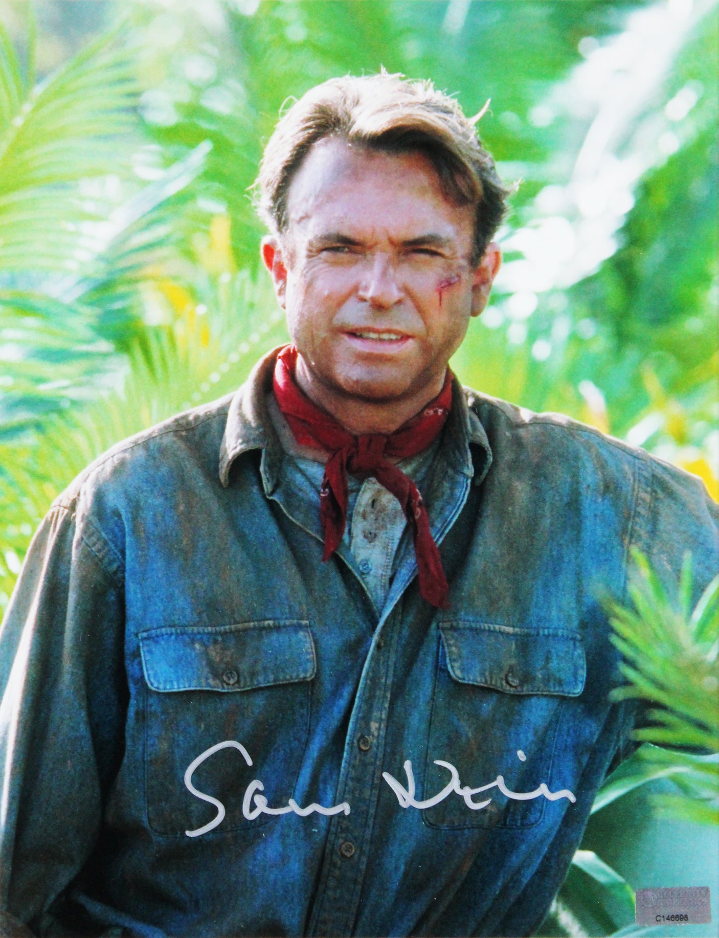 Jurassic Park (4) Neil, Dern, Goldblum & Attenborough Signed Framed Display BAS