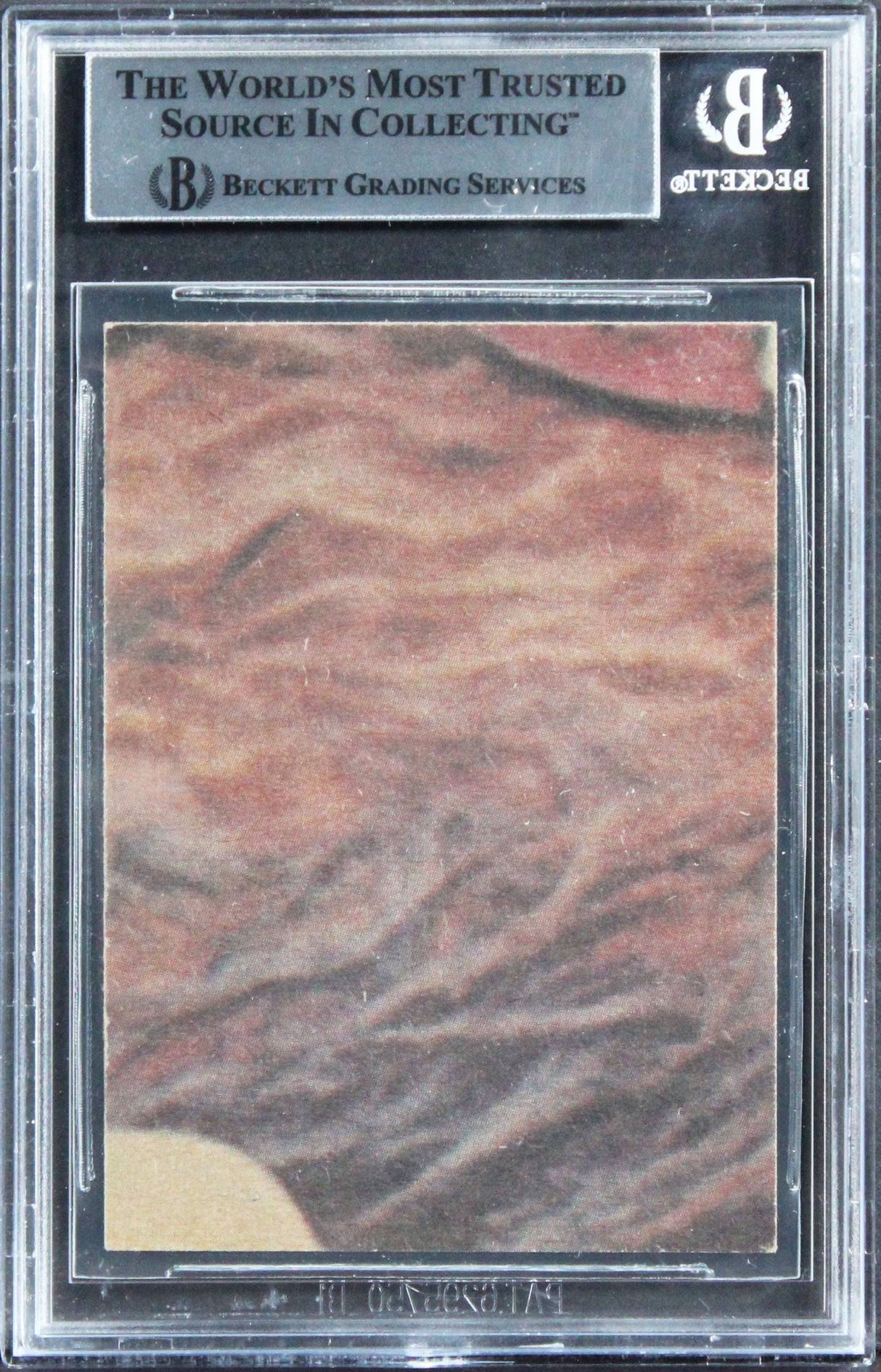 David Prowse & Terry McGovern "w/ Insc" Signed 1977 Star Wars #237 Card BAS Slab
