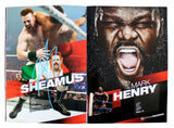 WWE Superstars (54) Rhodes, Kane, Sheamus, Mysterio Signed Official Program BAS