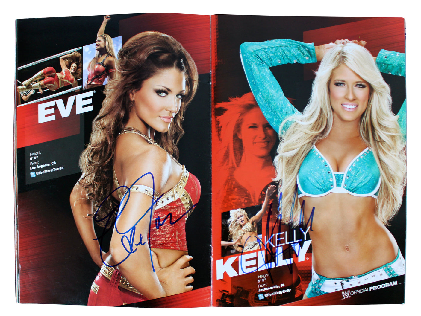 WWE Superstars (54) Rhodes, Kane, Sheamus, Mysterio Signed Official Program BAS