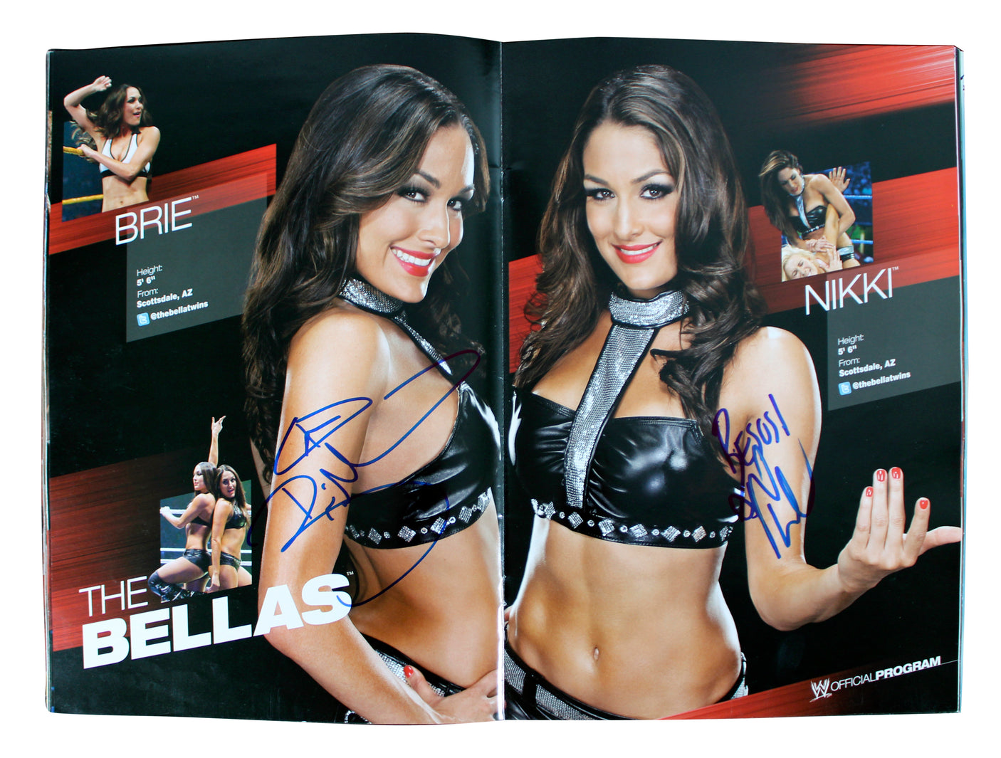 WWE Superstars (54) Rhodes, Kane, Sheamus, Mysterio Signed Official Program BAS
