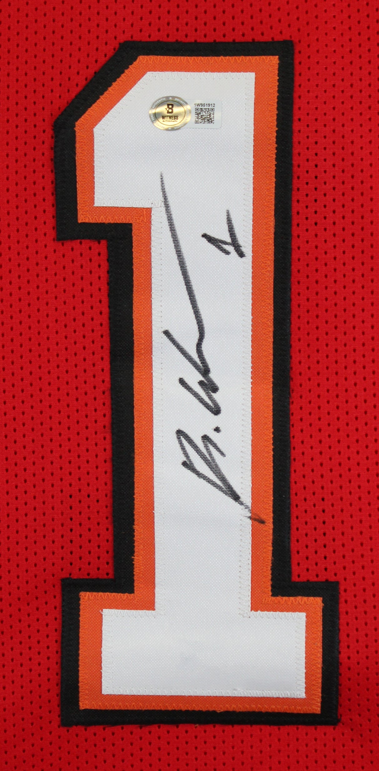Rachaad White Authentic Signed Red Pro Style Framed Jersey BAS Witnessed