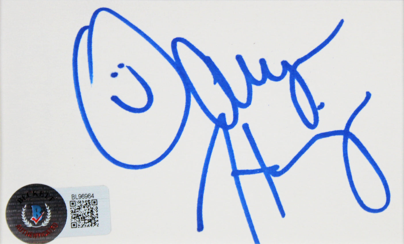 Jason Biggs & Alyson Hannigan American Pie Signed Index Card Framed Display BAS