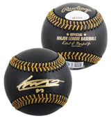 Blue Jays Vladimir Guerrero Jr. Signed Black OML Baseball JSA Witness #WA222455
