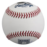 Reds Johnny Bench "HOF 89" Signed Hall OF Fame Logo Oml Baseball BAS #BY103713