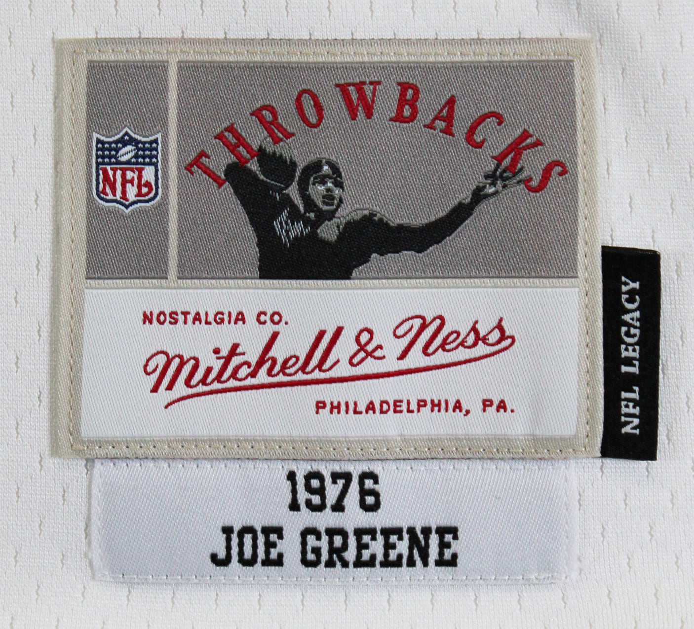 Steelers Joe Greene "Career Stat" Signed White M&N TB Jersey BAS Witnessed