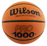 Celtics Danny Ainge Signed Wilson Indoor/Outdoor Basketball BAS #BU55118