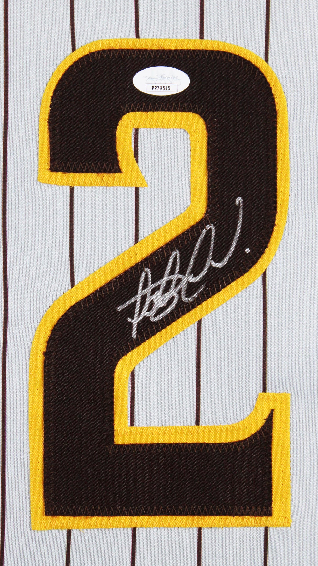 Fernando Tatis Jr. Authentic Signed Grey Pinstripe Pro Style Framed Jersey JSA