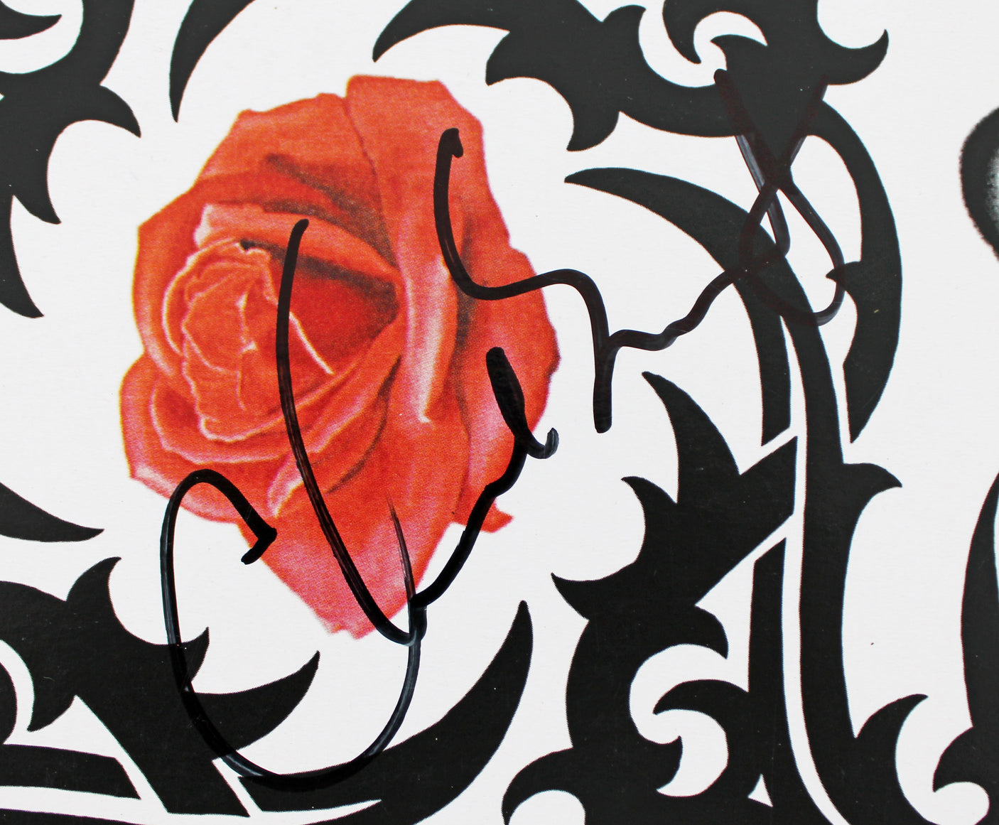 RHCP (4) Kiedis, Flea, Smith, & Frusciante Signed Album Cover W/ Vinyl BAS LOA