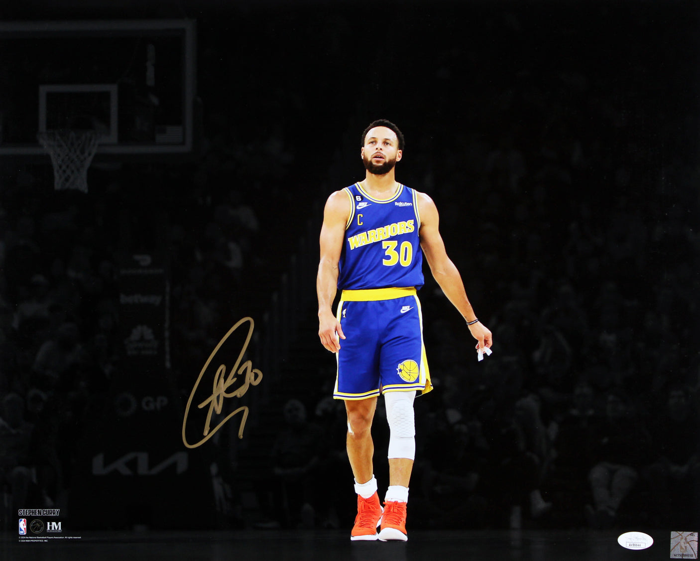 Warriors Stephen Curry Signed 16x20 Horizontal Spotlight Posing Photo JSA