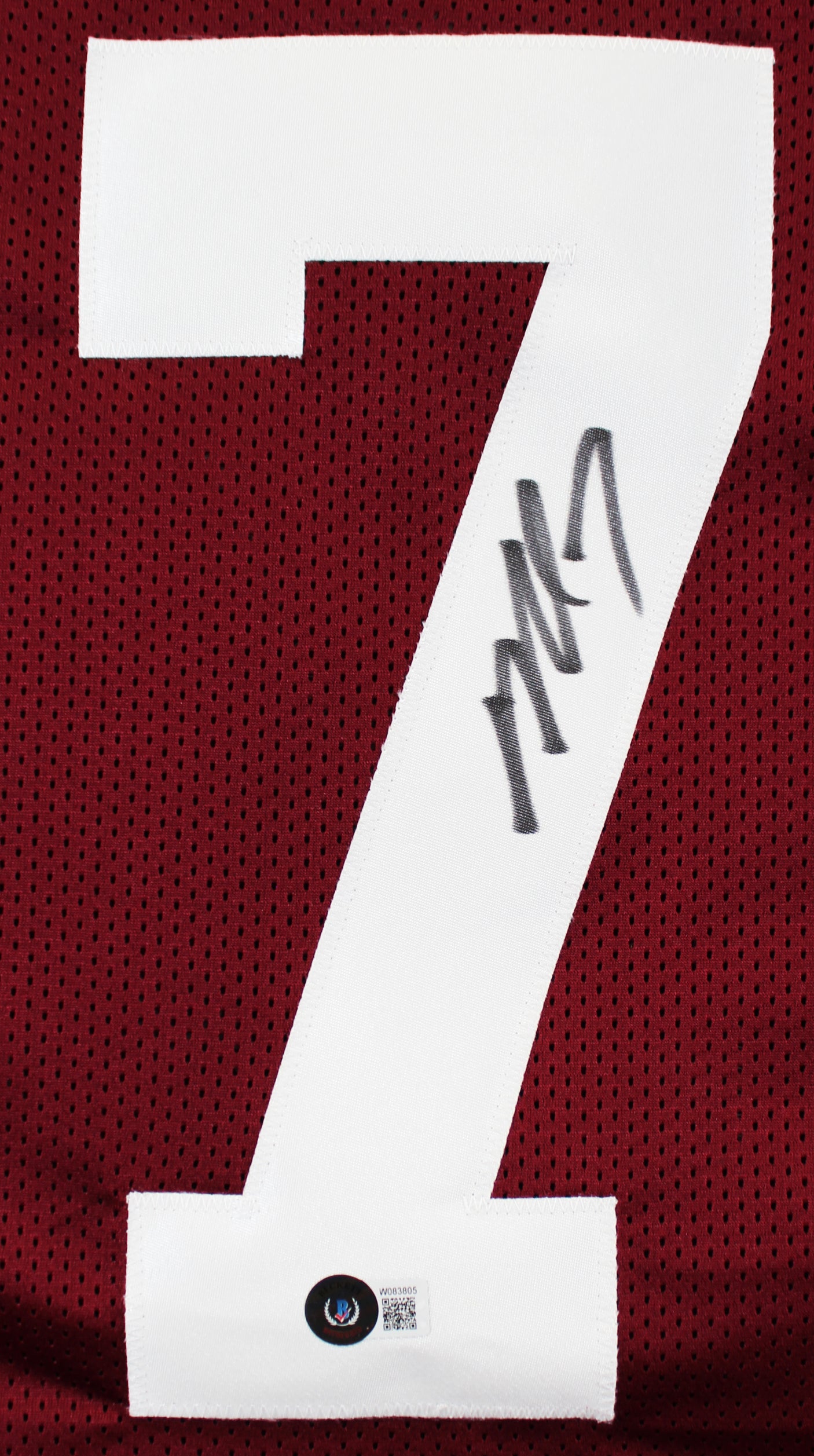 Virginia Tech Michael Vick Authentic Signed Maroon Pro Style Jersey BAS Witness