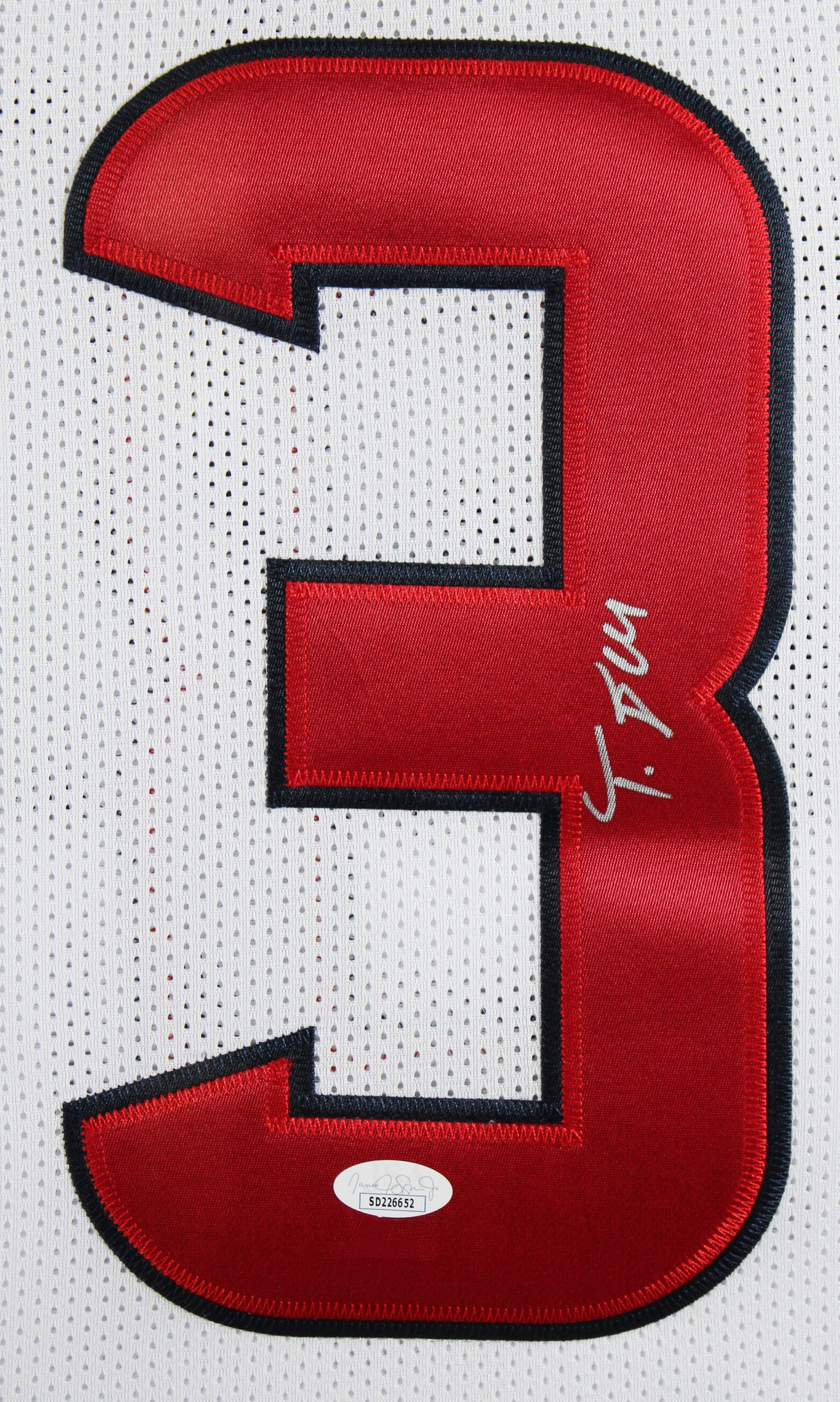 Tank Dell Authentic Signed White Pro Style Framed Jersey BAS Witnessed