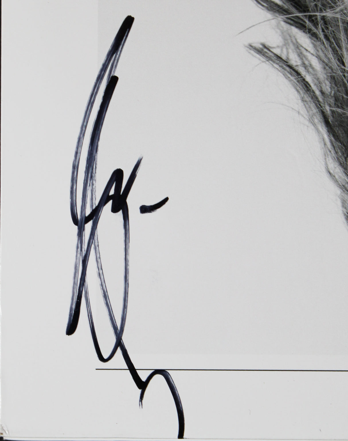 Shania Twain Authentic Signed Now Album Cover JSA #CF71376