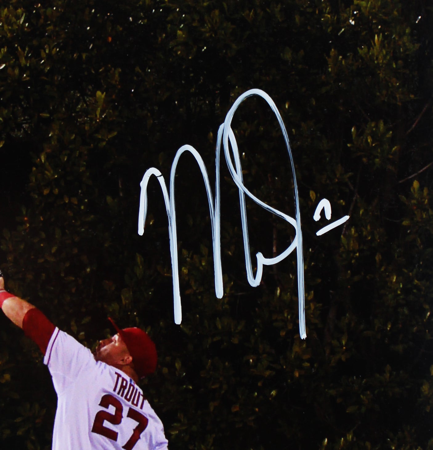 Angels Mike Trout Authentic Signed 16x20 Photo Autographed MLB #YP039886