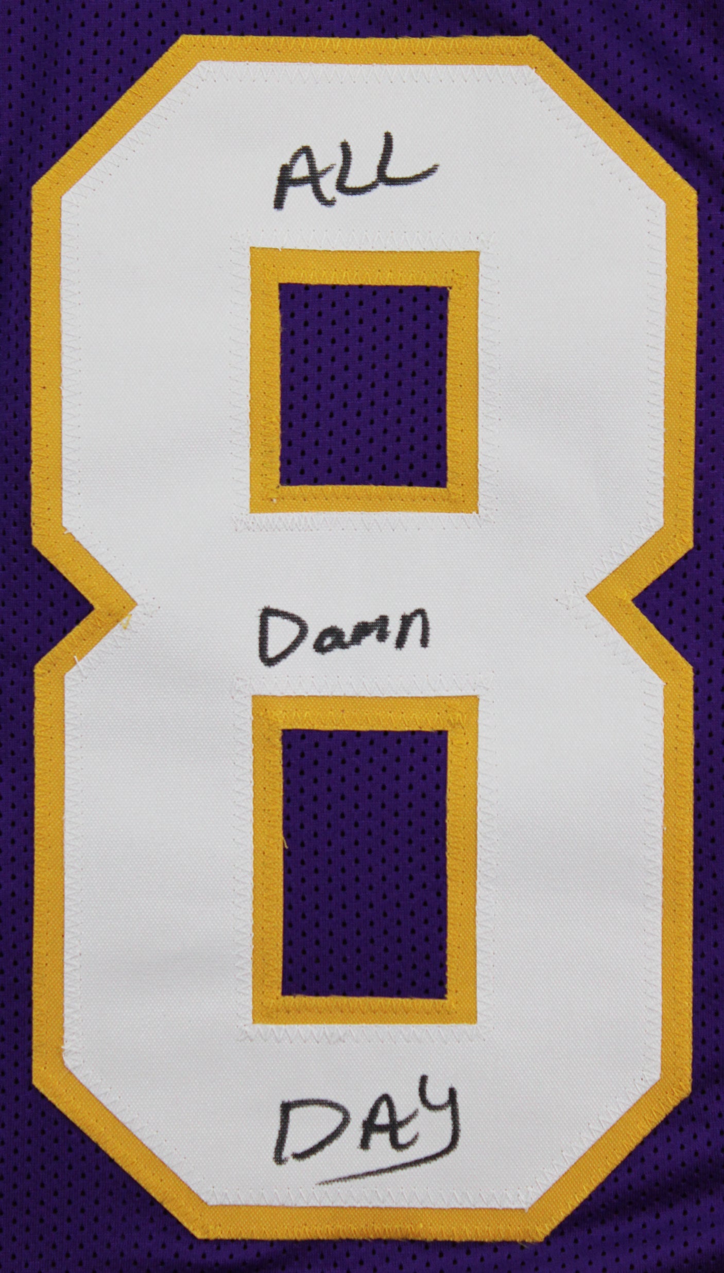 Adrian Peterson "All Damn Day" Signed Purple Pro Style Jersey BAS Witnessed