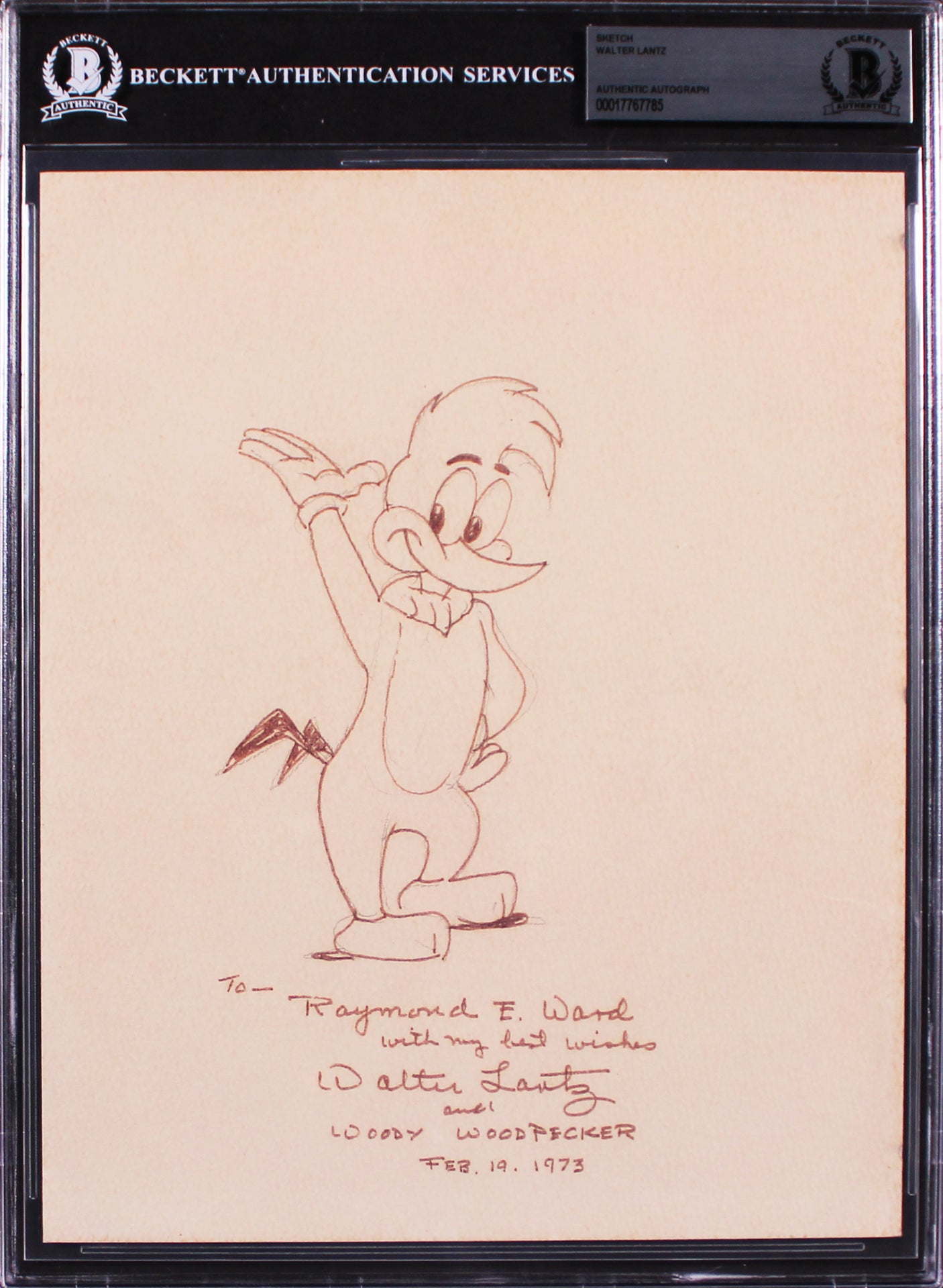 Walter Lantz Authentic Signed 8x10 Woody Woodpecker Sketch BAS Slabbed