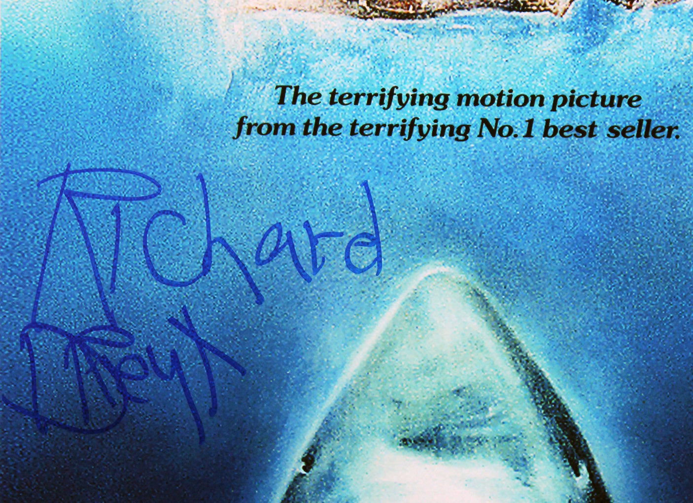 Richard Dreyfuss Jaws Signed 12x18 Mini Movie Poster Photo BAS #BV25093