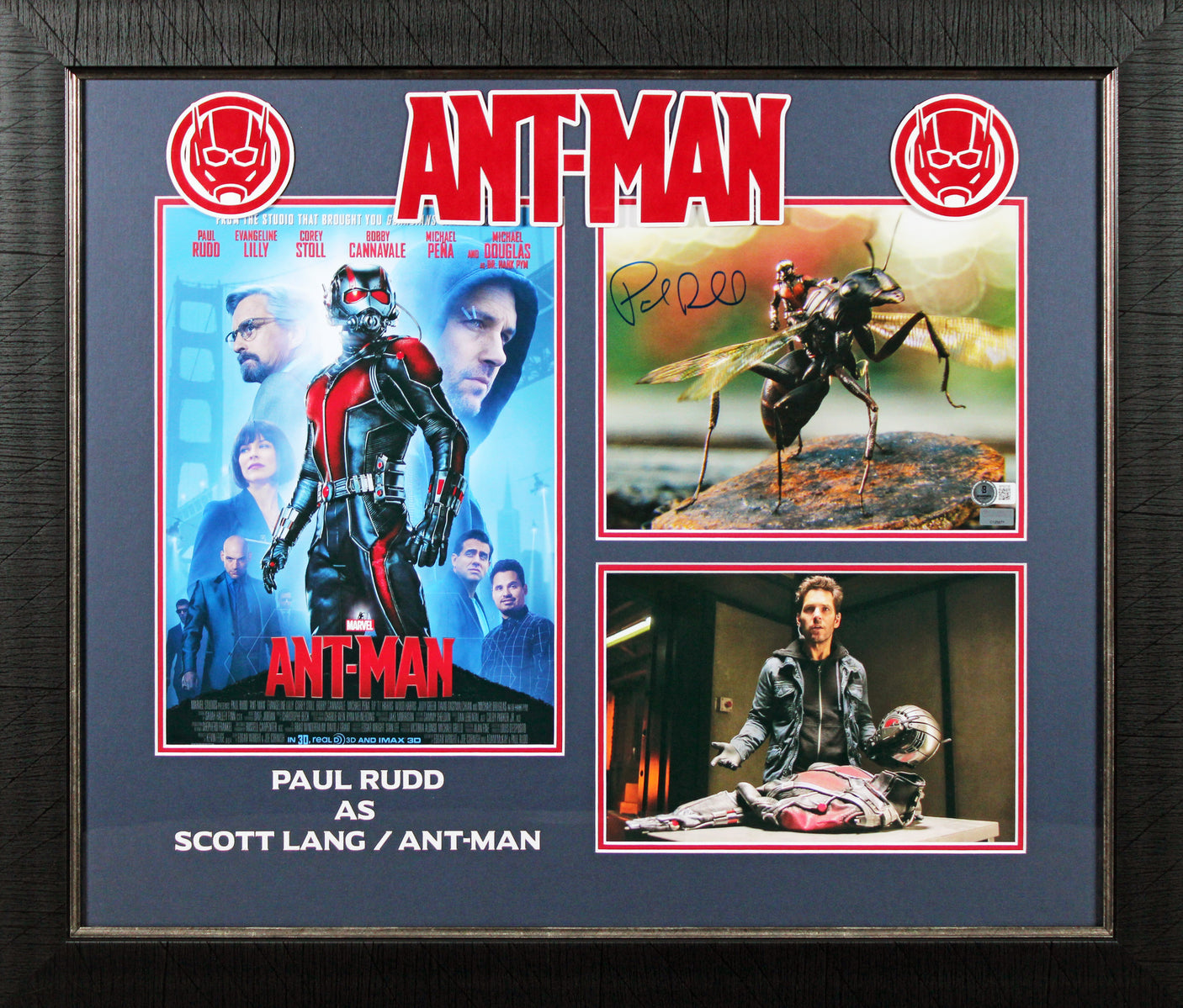 Paul Rudd Ant-Man Authentic Signed 8x10 Framed Photo Autographed BAS #BP50726