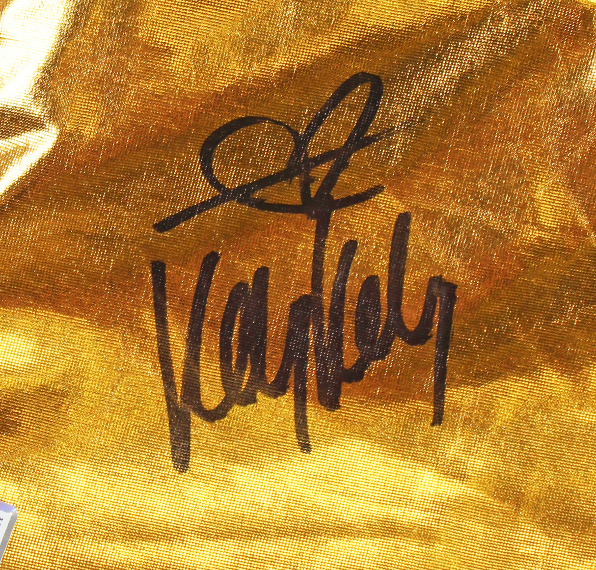 Kelly Kelly WWE Diva Authentic Signed Gold Shorts Autographed Tri Star