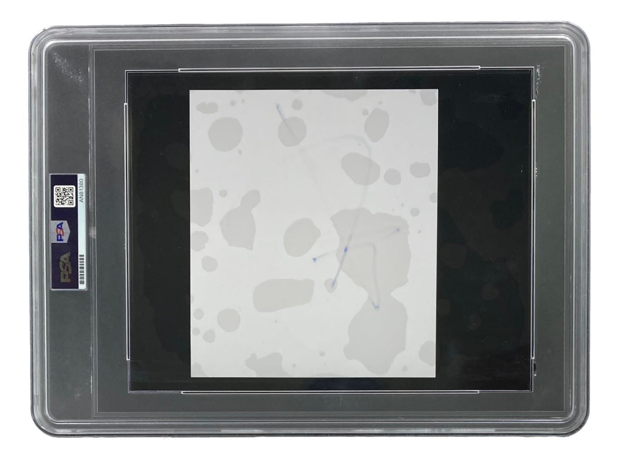 A John Cena signed WWE large cut signature from Sports Integrity is encased in a clear PSA slab, labeled with certification number AN81380.