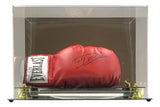 A Dolph Lundgren signed Everlast boxing glove is showcased in a deluxe acrylic case with gold and black supports, offered by Sports Integrity (PSA ITP).