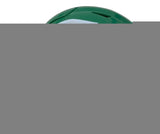 Michael Vick Signed Philadelphia Eagles FS Kelly Green SpeedFlex Helmet BAS