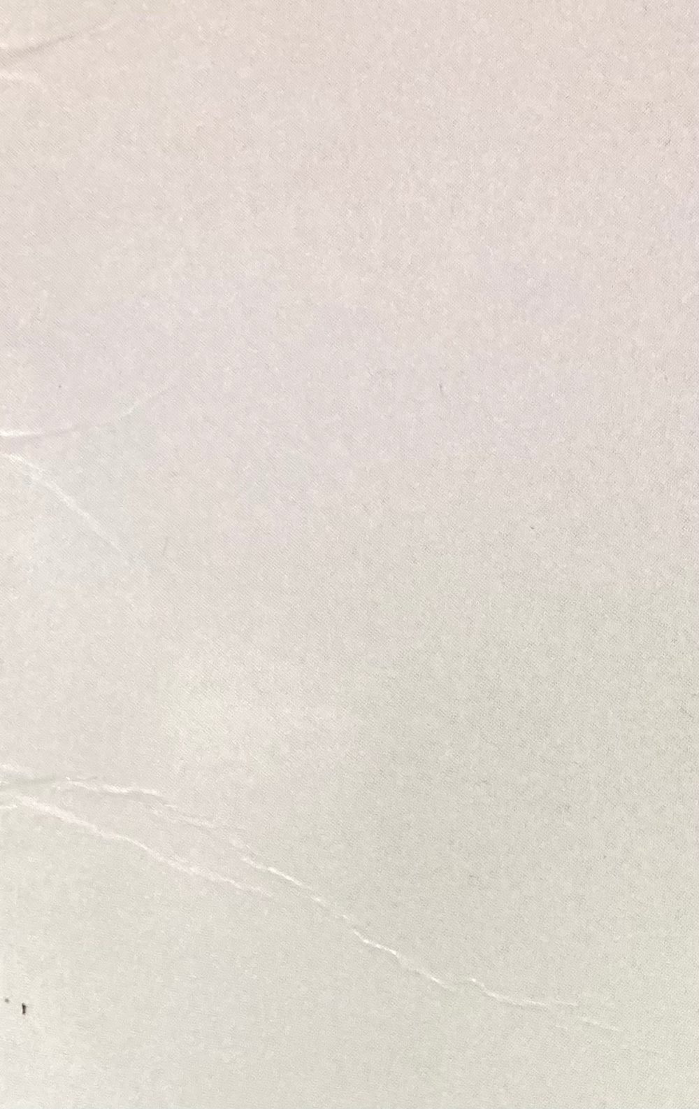 Close-up of the Molly Ringwald Signed The Breakfast Club Vinyl Record by Sports Integrity, showing a light-colored surface with subtle creases and faint lines, suggesting smooth vinyl with minor imperfections. Authenticated by JSA (WB072006).