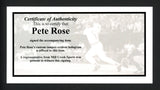 Pete Rose Autographed Mizuno Bat Cincinnati Reds Stat Bat "Hit King, 4256, ROY & MVP" (Light Signature) PR Holo #006994