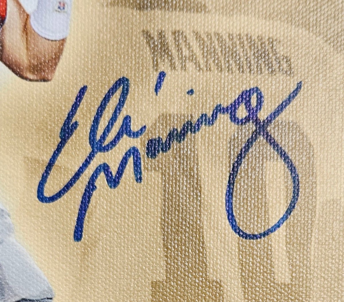 Peyton Eli Archie Manning Signed Framed 20x24 Canvas Steiner Sports Hologram - Sports Integrity