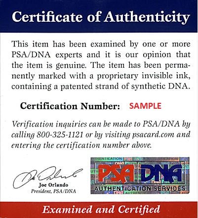 Jennie Finch Signed Framed 8x10 USA Softball Photo 04 Gold Inscribed PSA/DNA - Sports Integrity