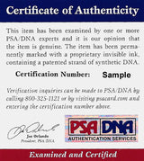 Anfernee Penny Hardaway Autographed 16x20 Photo Orlando Magic Dunking PSA/DNA Stock #208246