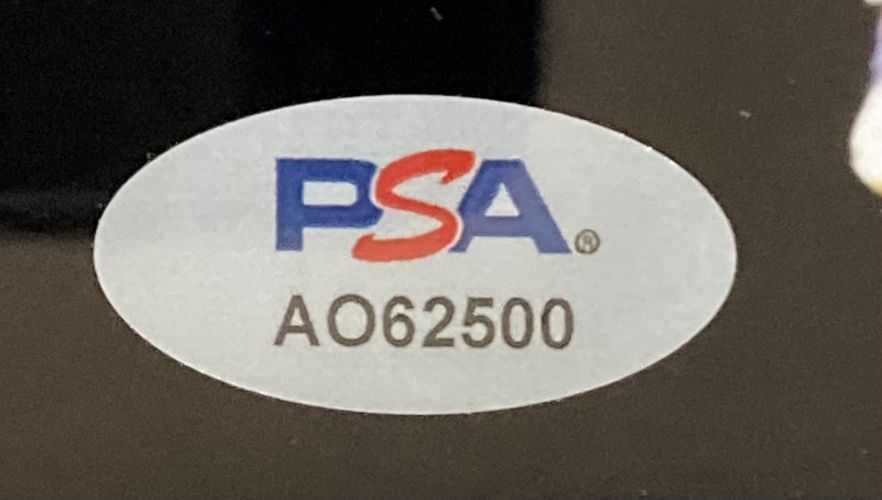 Ric Flair Signed Framed 11x14 WWE Photo PSA Hologram