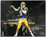 Joe Burrow Unsigned LSU Tigers Career Stat 16" x 20" Photograph