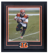 Joe Burrow Autographed Cincinnati Bengals Custom Framed Roll Out 16" x 20" Photograph Fanatics