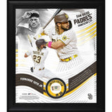 Fernando Tatis Jr. San Diego Padres Framed 15" x 17" Game Used Baseball Collage LE 50