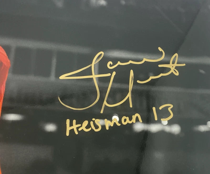 Jameis Winston Signed / Inscribed FSU Seminoles 20 x 24 Photo Steiner LE 13