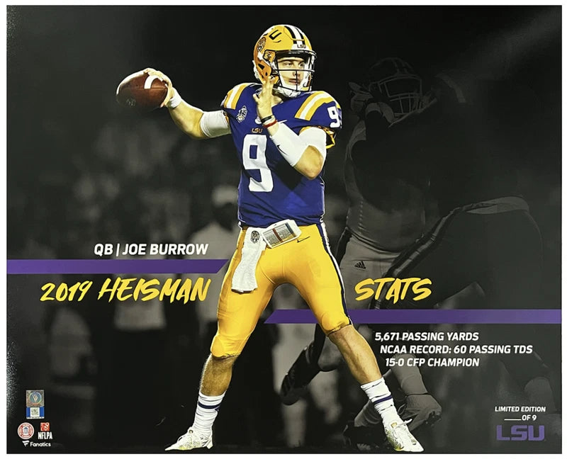 Joe Burrow Unsigned LSU Tigers Career Stat 16" x 20" Photograph