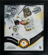 FERNANDO TATIS JR San Diego Padres Framed 15" x 17" Game Used Baseball Collage LE 50/50