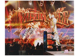 Dragon Lee Autographed WWE Entrance 16" x 20" Photograph Fanatics