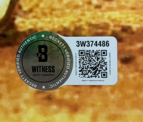 Sammy Sosa Signed Framed 16x20 Chicago Cubs Blue Jersey Photo BAS