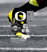 Marcus Mariota Autographed 16x20 Photo Oregon Ducks MM Holo Stock #87194