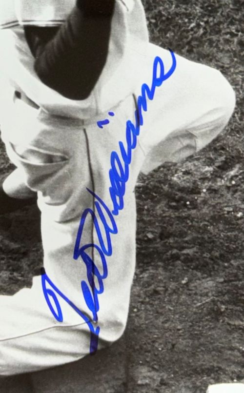 Ted Williams Signed Framed 16x20 Boston Red Sox On Deck Photo PSA/DNA LOA
