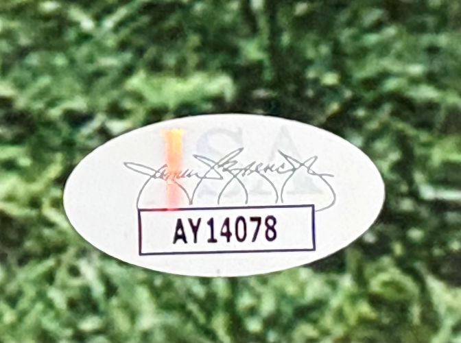 A white oval sticker with the code AY14078 in bold black and a faint signature above it is affixed to the Sports Integrity "The Sandlot Cast Signed Framed 16x20 Photo Patrick Renna Guiry 6 Others JSA," shown against green foliage.