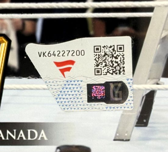 Tiffany Stratton Signed Framed 8x10 WWE Money In The Bank Photo Fanatics