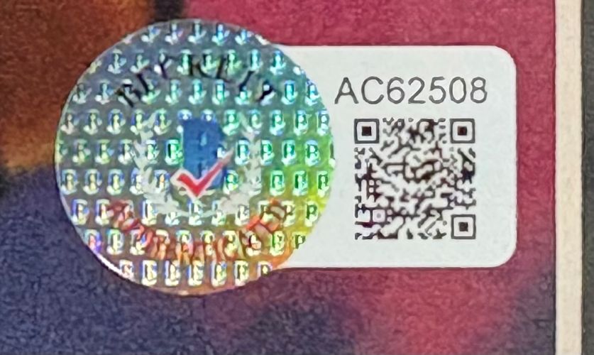 Tim McGraw Signed Framed 8x10 Photo BAS