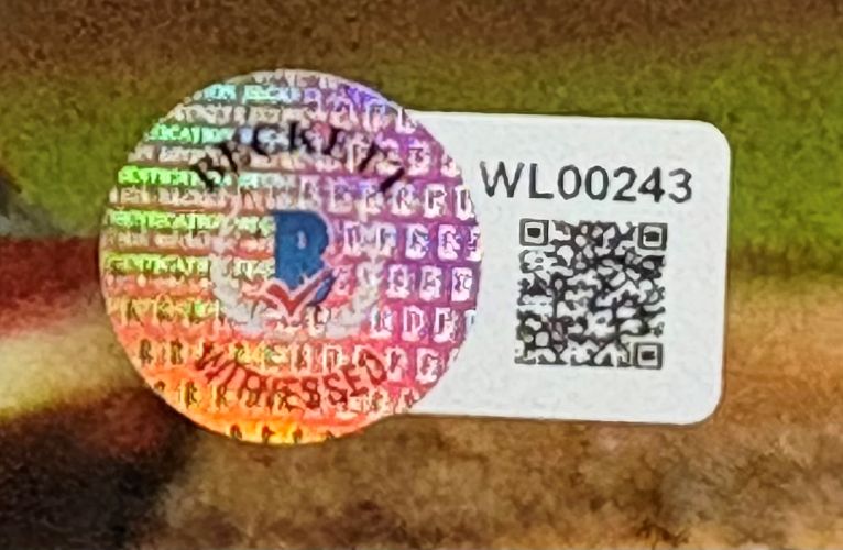 Vladimir Guerrero Jr. Signed Framed Toronto Blue Jays 16x20 Baseball Photo BAS